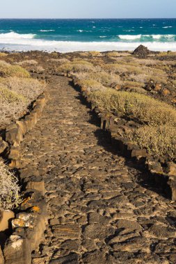 Lanzarote Beach mavi okyanus dalgaları ve ufuk manzaralı kayalık yol