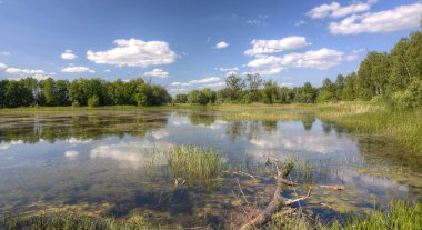 Açık bir günde göl