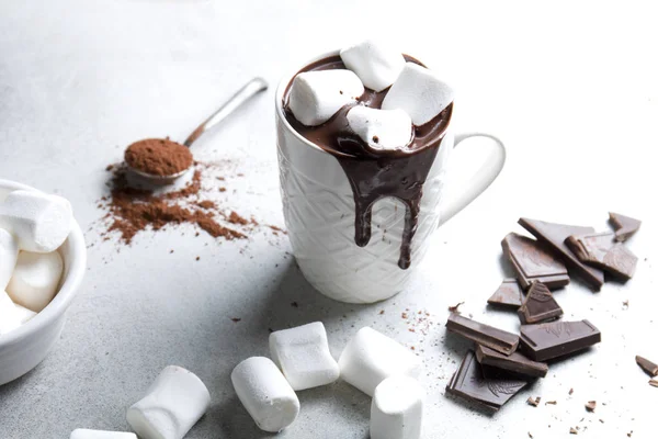 Deliziosa Cioccolata Calda Fatta Casa Con Marshmallow Fotografia Stock