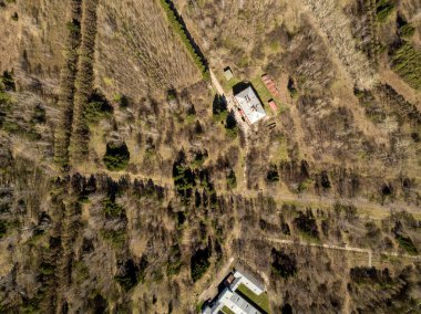 Novosibirsk şehir, Sibirya ile farklı ağaçlar ve bitkiler ile bazı binalarda ormanda. Botanik bahçesinde garip binalar.