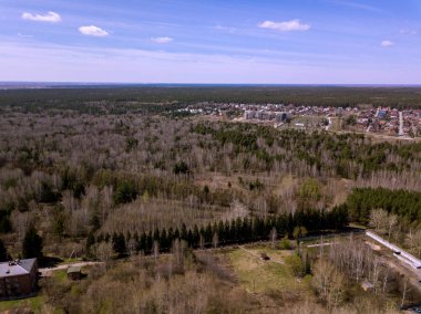 Novosibirsk, Rusya Federasyonu, altlarında mavi gökyüzü wih orman bulutlarda. Orman