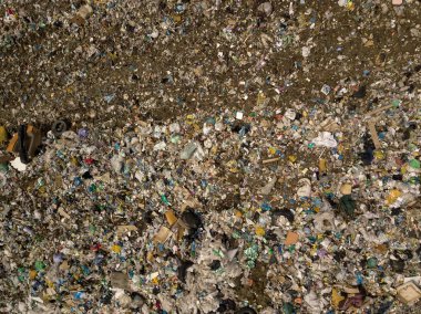 Çöp çürür ve dünya ve hayvan dünya bulaşan Rusya, Novosibirsk city yakınındaki bir sürü. 