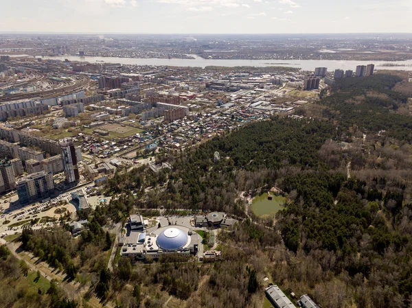 Forest Novosibirsk City Siberia Diffrent Trees Plants Some Buildings Strange — Stock Photo, Image