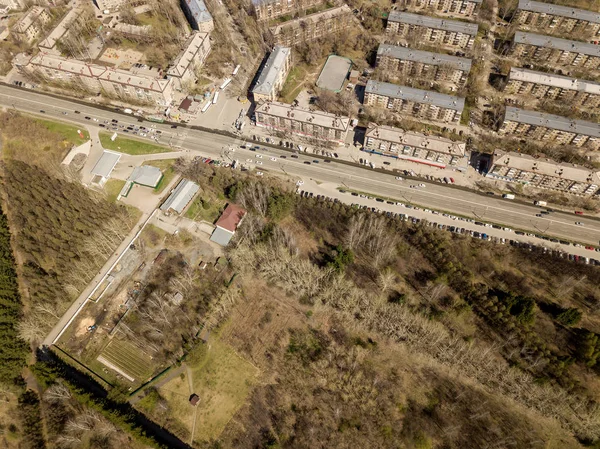 Forêt Dans Ville Novossibirsk Sibérie Avec Des Arbres Diffus Des — Photo