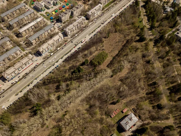 Forêt Dans Ville Novossibirsk Sibérie Avec Des Arbres Diffus Des — Photo