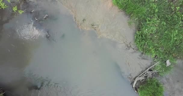 Luchtfoto Uitzicht Een Kleine Rivier Een Ravijn Het Bos Boven — Stockvideo