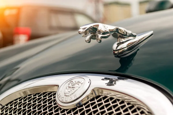Novosibirsk, Rusya Federasyonu - 06.28.2018: Bir başlık üzerinde hayvan bir jaguar şeklinde krom kaplama amblemi parlak yeşil Jaguar S-type 2007 