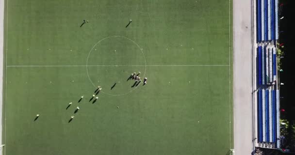 Vista Aérea Vuelo Sobre Campo Fútbol Sin Aficionados Con Pequeño — Vídeo de stock