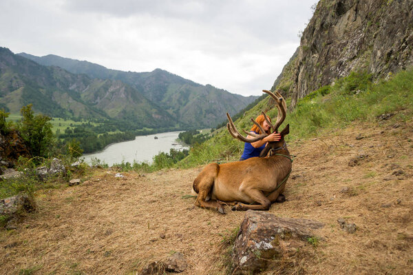 A young red-haired girl dressed in sports clothes stroking the horns and skin of a deer maral who lies on a mountain tied with a bridle in the mountains of the Altai