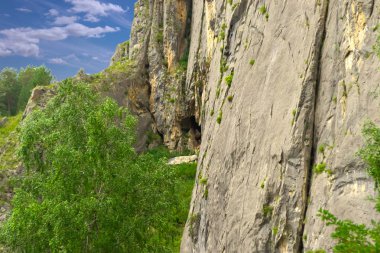 View from the top of the Altai mountains in Siberia with green plants and trees near the river of the katun with stones and caves clipart