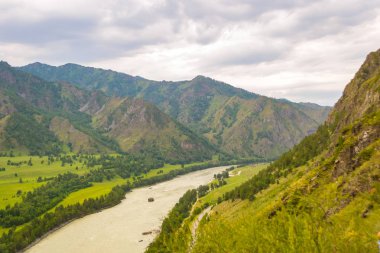 Manzara nehir katun, kayalar, Doğa, yaz aylarında altay dağlarında gökyüzünde gri bulutlar ile ile bir görünüm