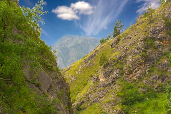 カトゥニ川川 夏にアルタイ山脈の空に灰色の雲で 自然の風景の眺め — ストック写真