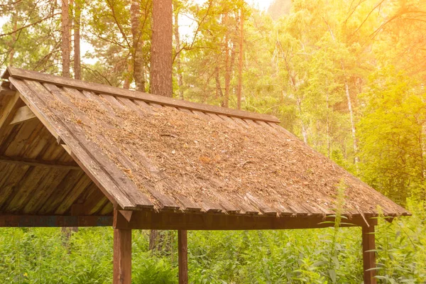 A close-up of a wooden roof from a gazebo standing in a green forest with tall trees, sprinkled with fallen spruce needles in autumn