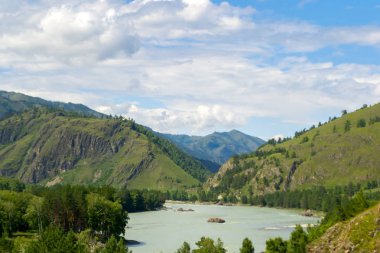 manzara altay dağ zincirinin yeşil ağaçlar ve kayalar, Katun Nehri ve onun rapids bir güneşli yaz günü ve beyaz bulutlar mavi bir gökyüzü ile kaplı. turist rota altay.