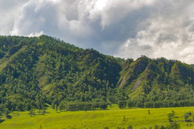yeşil ağaçlar ve görünümü bir vadi ile kaplı ridge manzara ışık almayan, mera, yoğun bulutlar gökyüzünde ile sular altında. yaz günü altay dağlarında