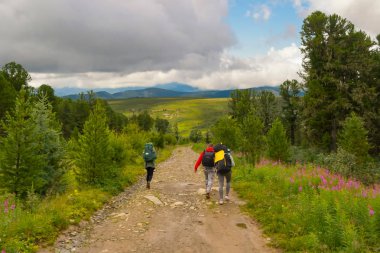 bir su birikintisi, dağlar ve macera mavi gökyüzü ve bulutlar altında yeşil iğne yapraklı ağaçlar ile orman boyunca kaçınarak üç turist sırt çantaları ile taşlar ile kaplı yolda gitmek