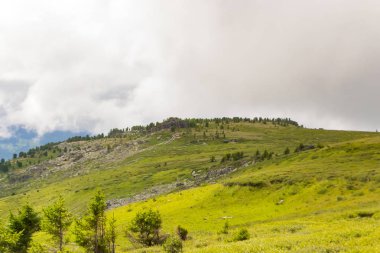 Yeşil vadi peyzaj yemyeşil yeşil çimen, ışıkla ile dağlar, kaplı taş ve hills, mavi gökyüzü beyaz bulutlar ve Altay Dağları'nda güneş ışınları altında bir taze yaz günü ile sular altında