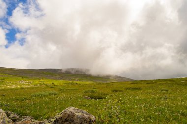 Yeşil vadi peyzaj yemyeşil yeşil çimen, ışıkla ile dağlar, kaplı taş ve hills, mavi gökyüzü beyaz bulutlar ve Altay Dağları'nda güneş ışınları altında bir taze yaz günü ile sular altında