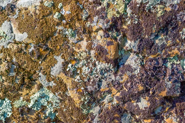 Fondo Fondo Color Natural Con Una Textura Áspera Las Piedras — Foto de Stock