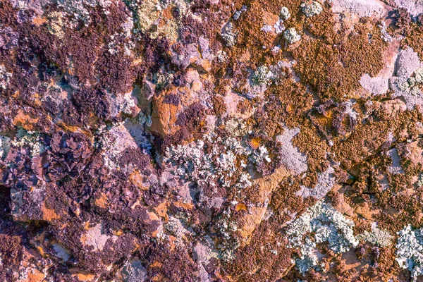 Fondo Fondo Color Natural Con Una Textura Áspera Las Piedras — Foto de Stock