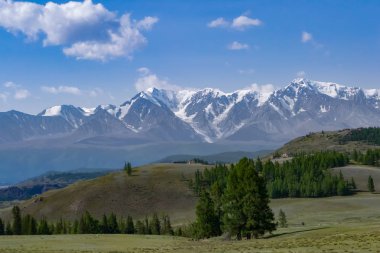 Bir çayır gür yeşil çim ve iğne yapraklı ağaçlar karla kaplı tepeler, mavi bir sis ve beyaz bulutlar dağ taş ridge önünde uzanan ile.