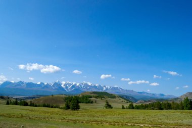 Bir çayır gür yeşil çim ve iğne yapraklı ağaçlar karla kaplı tepeler, mavi bir sis ve beyaz bulutlar dağ taş ridge önünde uzanan ile.