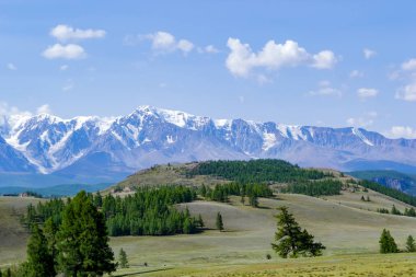 Bir çayır gür yeşil çim ve iğne yapraklı ağaçlar karla kaplı tepeler, mavi bir sis ve beyaz bulutlar dağ taş ridge önünde uzanan ile.