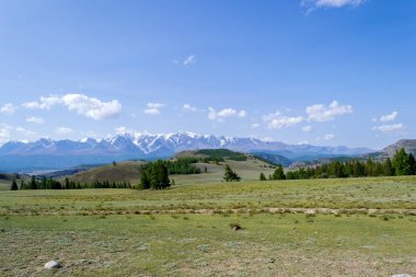 Bir çayır gür yeşil çim ve iğne yapraklı ağaçlar karla kaplı tepeler, mavi bir sis ve beyaz bulutlar dağ taş ridge önünde uzanan ile.