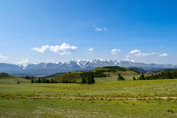 Meadow Lush Green Grass Coniferous Trees Stretching Front Stone Ridge — Stock Photo, Image