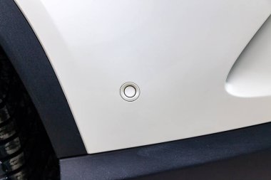 Güzel bir Alman bla tampon bir beyaz Park sensörü