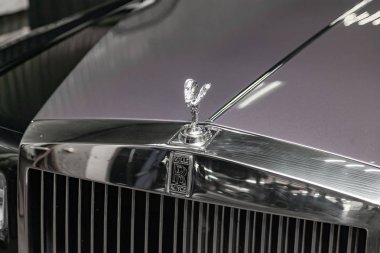 Yeni bir çok pahalı R ecstasy amblem ruhu ön görünümü