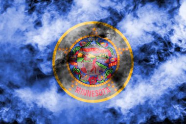 Gri SM karşı ABD Devlet Minnesota Ulusal bayrağı