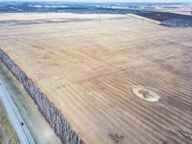 Colorf ile yemyeşil çayır ve tarlalarda havadan Panorama