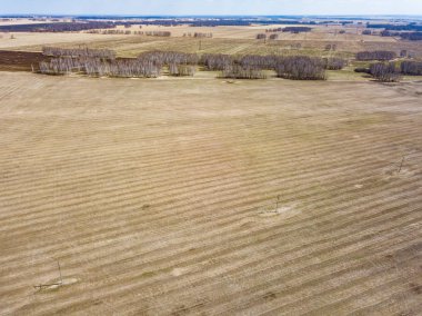 Colorf ile yemyeşil çayır ve tarlalarda havadan Panorama