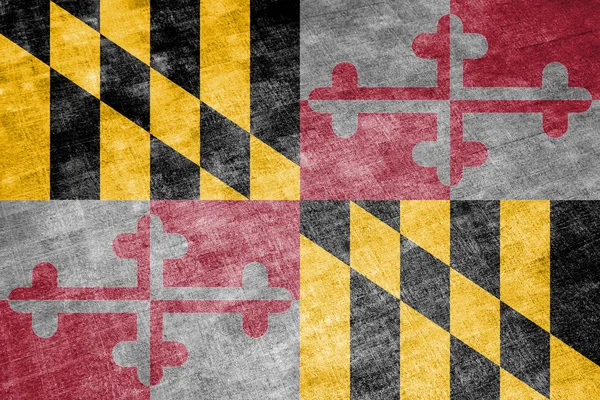 De nationale vlag van de Amerikaanse staat Maryland in tegen een grijze tex — Stockfoto