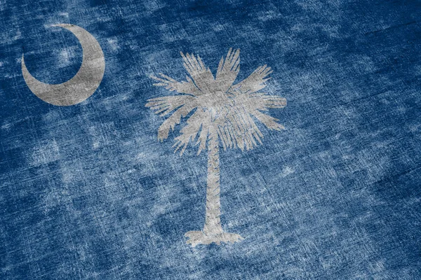 The national flag of the US state South Carolina in against a gr — Stock Photo, Image