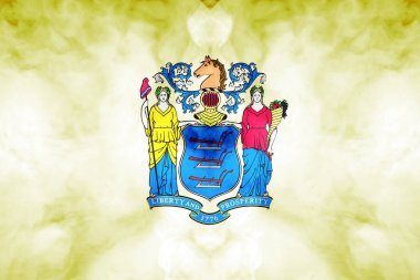 ABD eyaleti New Jersey 'in Ulusal bayrağı gri s