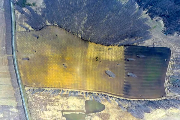 Vue aérienne des champs agricoles de différentes cultures de couleur sous — Photo
