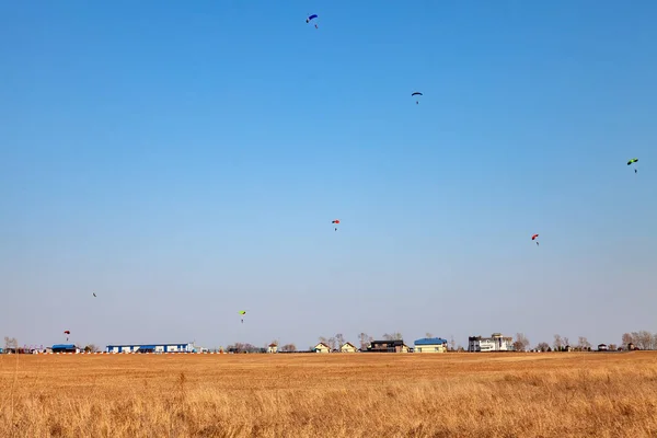 Seis paracaidistas aterrizando en el campo amarillo durante — Foto de Stock