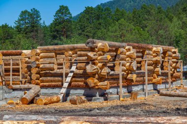 Kalın yuvarlak ahşap c büyük bir ahşap evin inşaatı