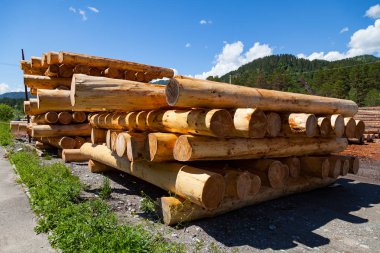 Büyük biçilmiş yuvarlak çam ağaçları hazırlık için bir yığın döşenir o