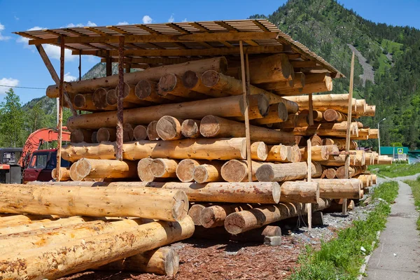 Large sawn round pine trees are laid in a pile for preparation o