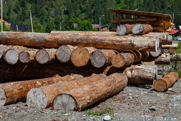 Grandes pinheiros redondos serrados são colocados em uma pilha para preparação o — Fotografia de Stock