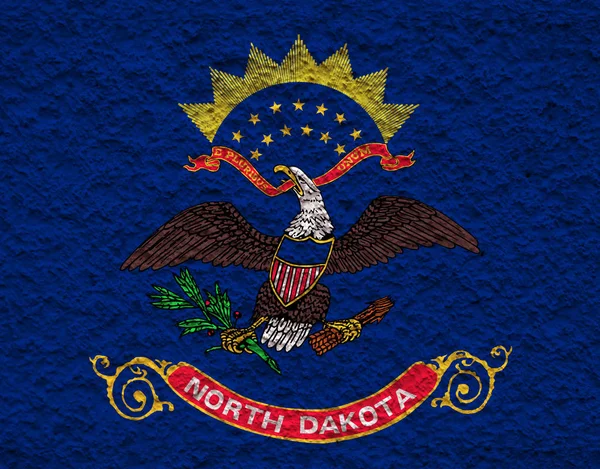The national flag of the US state North Dakota in against a gray — Stock Photo, Image