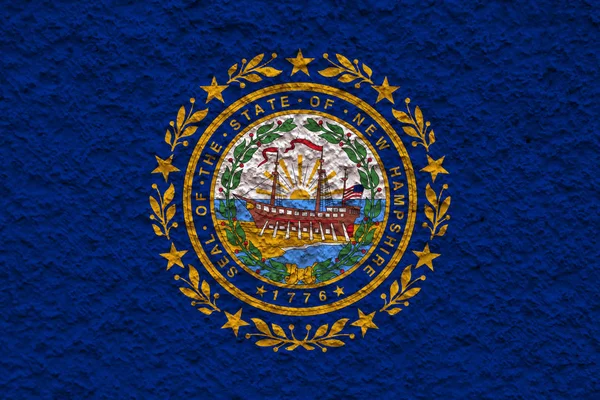 The national flag of the US state New Hampshire in against a gra — Stock Photo, Image