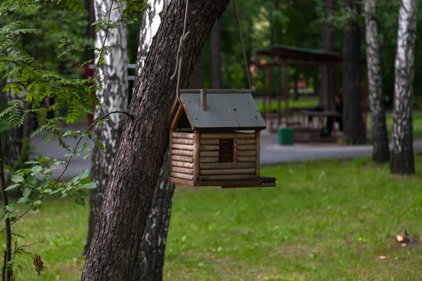 A wooden birdhouse in which the birds live, are painted creativ — Stock Photo, Image