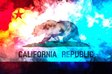 Gri s karşı ABD devlet California ulusal bayrağı