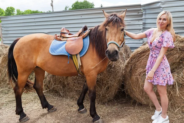 Gadis pirang dan kuda coklat melihat kamera di backgrou — Stok Foto