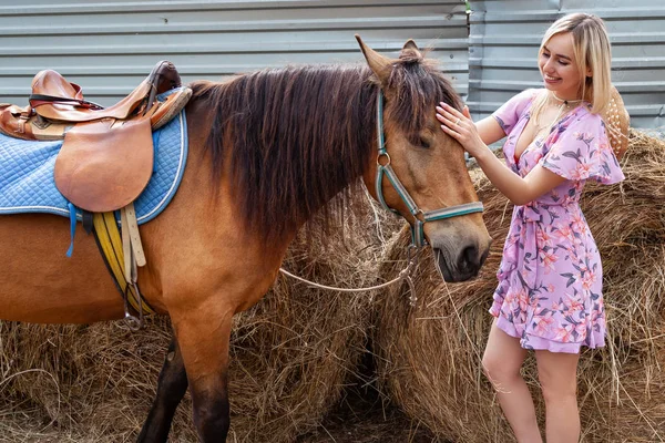 Young blonde girl in dress stroking a brown horse before a walk — Stock Photo, Image