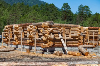 Kalın yuvarlak ahşap c büyük bir ahşap evin inşaatı